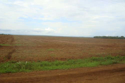 ተመንጥሮ ለ”እርሻ” የተዘጋጀ መሬት Clear land