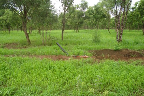 ለምንጣሮ የተዘጋጀ መሬት Land to be clear soon