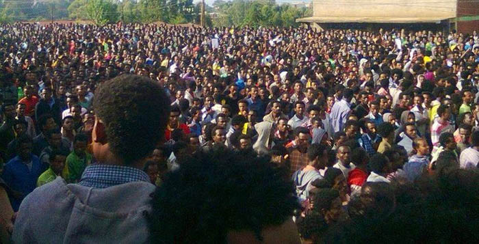 Oromo students protest Wellega. የኦሮሞ ተማሪዎች በወለጋ ተቃውሞ አሰሙ Oromo students protest Wellega. የኦሮሞ ተማሪዎች በወለጋ ተቃውሞ አሰሙ