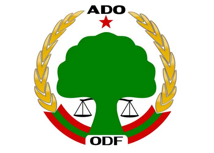 የኦሮሞ ዴሞክራቲክ ግንባር (ኦዴግ). Oromo Democratic Front (ODF)