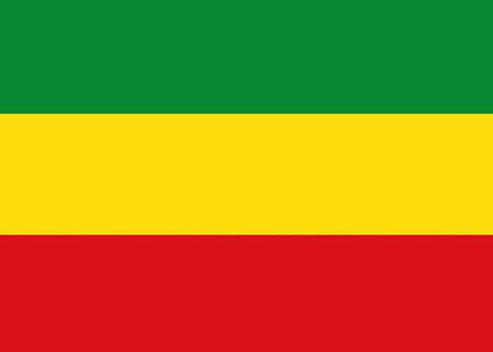 Ethiopian flag