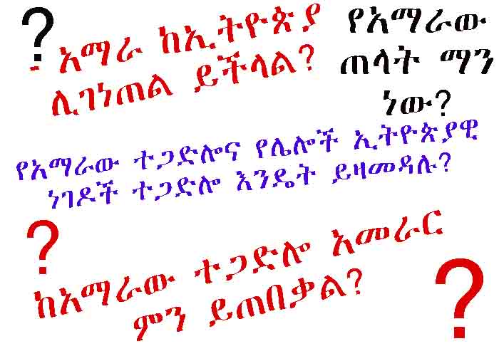 ኢትዮጵያዊ የአማራ ተጋድሎ YeAmara tegadelo