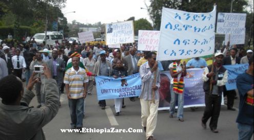 UDJ rally in Addis Ababa, 2009,04,16