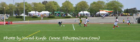 ኢትዮ-ኖርዌይ (ቢጫ በአረንጓዴ) እና ኢትዮ-ስቱትጋርት (ነጭ)