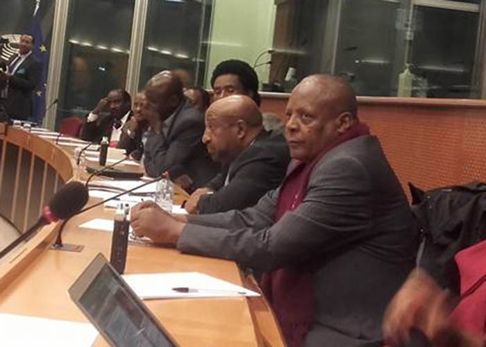 Prof. Berhanu Nega, Prof. Merera Gudina and Athlet Lelisa Feyesa in EU parlament