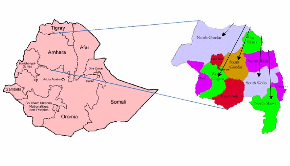Amhara region