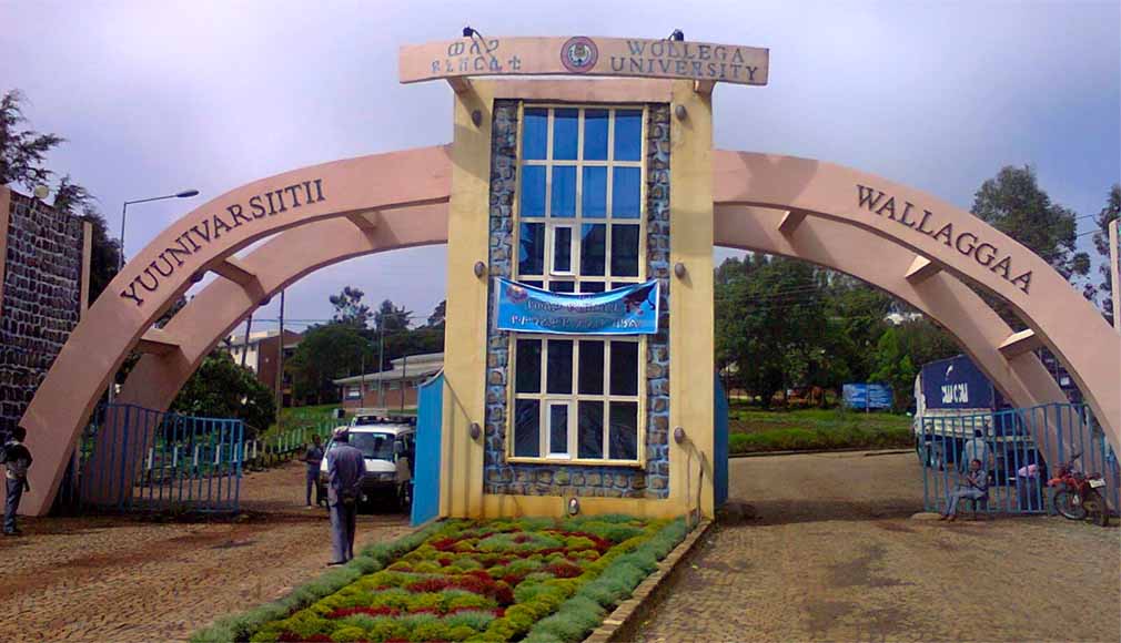 Wollega University