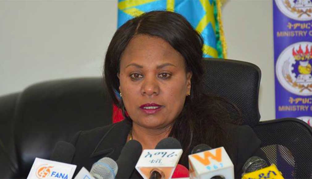 Prof. Hirut Woldemariam