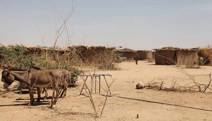Drought strikes millions in Ethiopia